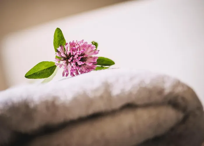 Mo's Апартаменти *